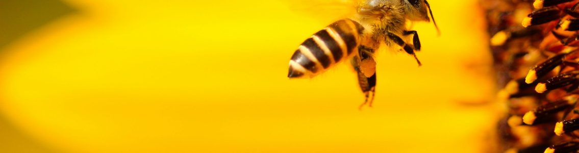 What Would It Be Like…?